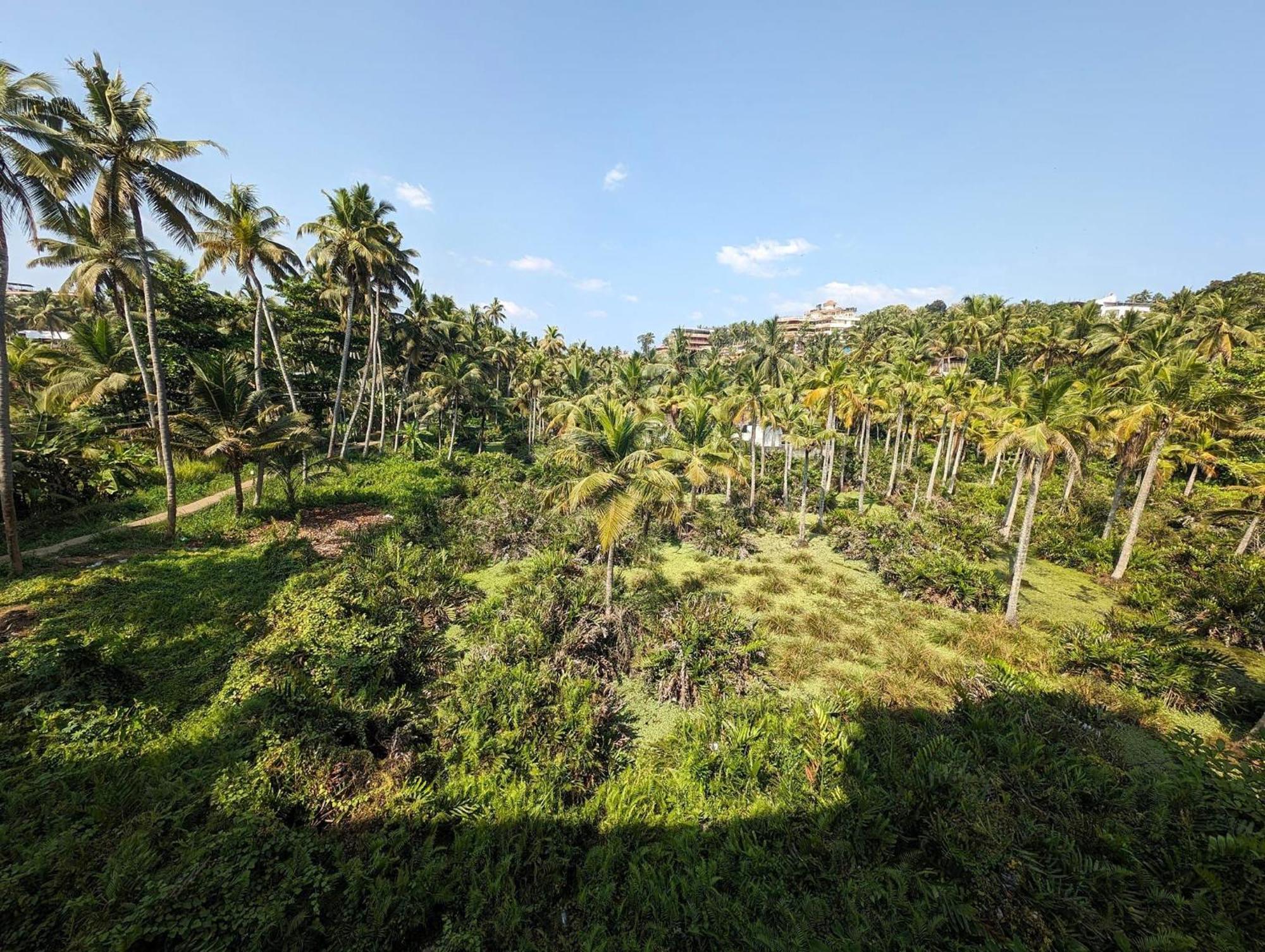 Vedantha Inn Ковалам Экстерьер фото